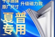 冰箱皮条清洗技巧（轻松清洁冰箱皮条）