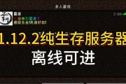 MC生存服务器推荐名称是什么？体验如何？