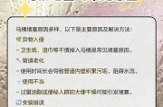 硬物掉入马桶堵了怎么办（教你快速处理马桶堵塞的方法）