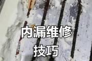 冰箱内漏的原因及处理方法（了解冰箱内漏的原因）