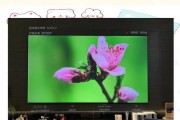 客厅用投影仪选择标准是什么？