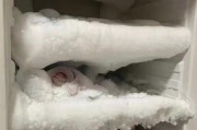 冰箱里有冰该如何处理（冰箱里冰的妙用及合理利用方法）
