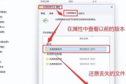 电脑系统误删怎么办（教你恢复误删文件的有效方法）