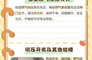 万和壁挂炉控制器不点火的原因及解决方法（深入探讨万和壁挂炉控制器不点火的原因与解决方案）