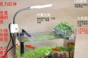 电视机鱼缸画面亮度调节方法是什么？
