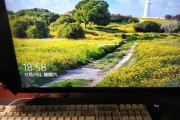 DinB庄园玩家偏爱哪种键盘？