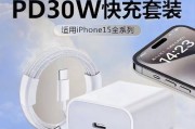 苹果特别大的充电器叫什么？这种充电器的特点是什么？