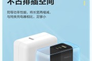 一只鱼充电器的功率是多少瓦？充电速度如何？