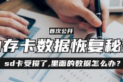 大sd内存卡在电脑上使用时遇到问题怎么办？