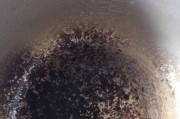 电饭煲锅底变形怎么修（解决电饭煲锅底变形问题的方法及注意事项）