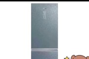 容声冰箱EE故障及解决方法（容声冰箱EE故障原因分析与解决方案）