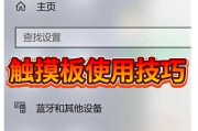 探索电脑触摸板的使用技巧（提升效率、解放双手的关键技巧）
