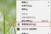 文件扩展名后缀的重要性与使用技巧（提升电脑使用效率的关键之一）