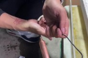 冰箱漏水的常见原因及解决方法（深入探究冰箱漏水的部位与原因）