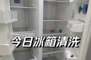 冰柜清洗指南-让你的冰柜始终保持清洁与卫生（有效清洗冰柜）