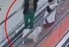 男孩商场扶梯上被狗咬伤，狗主人安慰几句后竟直接离开！警方介入