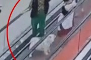 男孩商场扶梯上被狗咬伤，狗主人安慰几句后竟直接离开！警方介入
