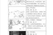 画分镜头的正确步骤是什么？
