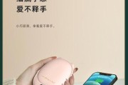 思雨苹果充电器的品牌是什么？
