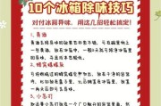冰箱臭味大的原因及解决方法（冰箱臭味原因解析与清除技巧）