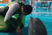 大鲸鱼游戏机玩法介绍？游戏体验如何？