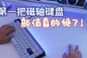 donk键盘什么轴体？不同轴体的特点和选择建议是什么？