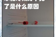 冰箱制冷效果差的原因（探究冰箱制冷效果不佳的原因及解决方法）