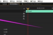 PR导入音频没有声音的原因及解决方法（探究PR导入音频无声的情况）