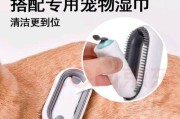 室外宠物散热器使用方法是什么？如何正确使用？