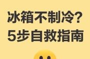 冰箱突然不制冷怎么办？（探究冰箱不制冷的原因及常见解决方法）
