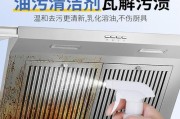 如何正确清洗油烟机（让你的油烟机焕然一新）