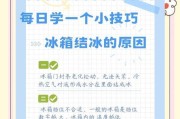 冰箱冷藏室结冰的原因及解决方法（了解冷藏室结冰的原因）