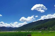 丽江购买苹果手机的最佳地点是哪里？购买时需要注意什么？