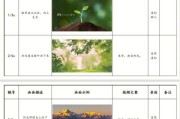 美食分镜头脚本如何撰写？论述美食分镜头脚本的要点是什么？