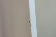 笔记本电脑边角损坏修复指南（如何修复笔记本电脑边角损坏及常见维修方法）