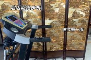 探究迈巴赫跑步机故障原因及解决方法（分析迈巴赫跑步机常见故障）