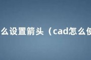 通过图片上的箭头学习箭头的标注方法（掌握有效利用箭头进行标注的技巧与方法）