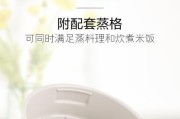 电饭煲蒸笼异味问题解决方法（消除电饭煲蒸笼异味的实用技巧）