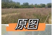 手机三倍拍照参数如何调整？