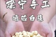 手机壳莲子绑法有哪些？哪种绑法最时尚？