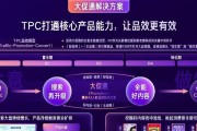 快手磁力引擎小麦计划（快手打造智能农业解决方案）