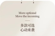 荣耀魔术四手机壳的使用方法是什么？