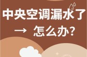 空调制热为何会漏水（探究空调制热过程中的水分排放原因及解决方法）