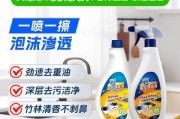 油烟机清洗技巧大揭秘（轻松解决油烟机油垢难题）