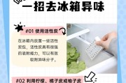 冰箱除味攻略（15种方法让你的冰箱清新如新）