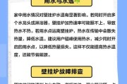 壁挂炉EI技术的应用与发展（提升壁挂炉效能与环保的关键技术——EI技术）