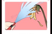 男士温水袋充电器的使用方法是什么？使用时有哪些注意事项？