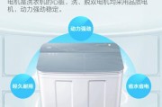 双桶洗衣机（一机两桶）