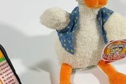 录音鸭充电器使用方法是什么？有哪些安全注意事项？