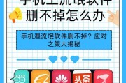 删除电脑内存时如何避免误删软件？正确步骤是什么？
